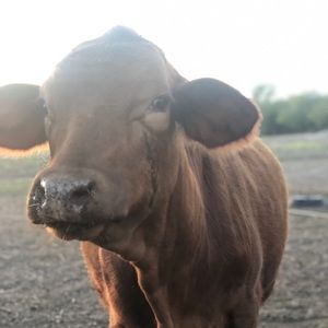 Meet your Posher, Marcelene